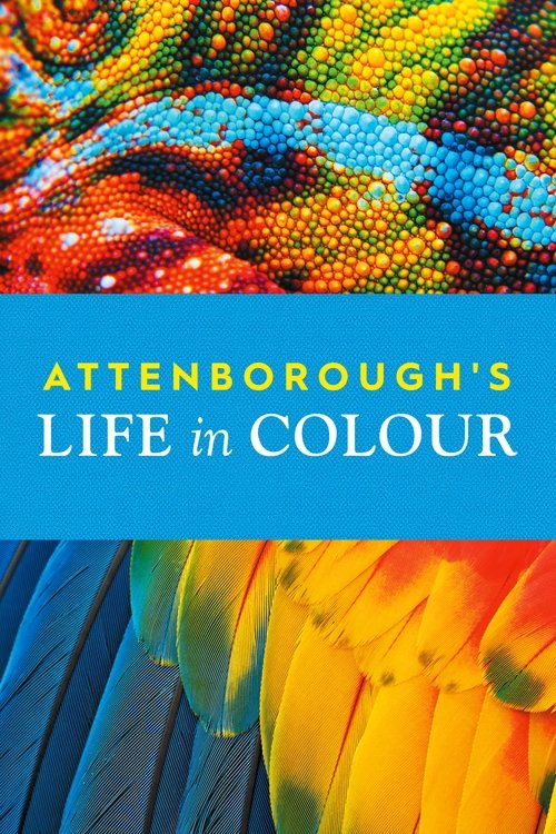 Attenborough’s Life in Colour : 1.Sezon 1.Bölüm