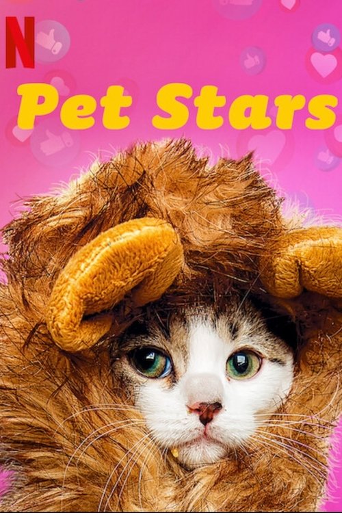 Pet Stars : 1.Sezon 5.Bölüm