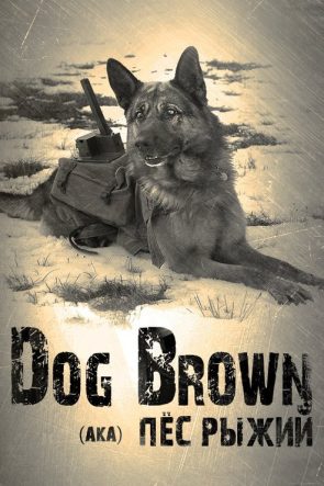 Сабака Руды izle (2016)