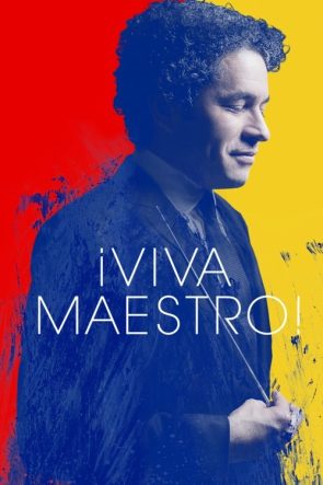 Yaşasın Maestro! izle