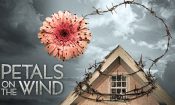 Petals on the Wind izle (2014)