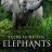 Secrets of the Elephants : 1.Sezon 3.Bölüm izle