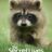 The Secret Lives of Animals : 1.Sezon 8.Bölüm izle