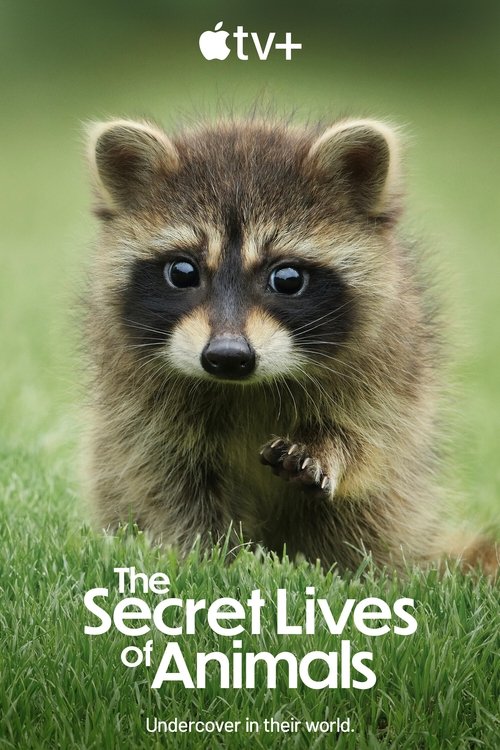 The Secret Lives of Animals : 1.Sezon 8.Bölüm