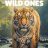 The Wild Ones : 1.Sezon 5.Bölüm izle