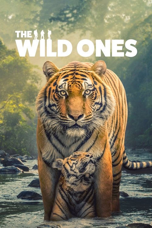 The Wild Ones : 1.Sezon 5.Bölüm