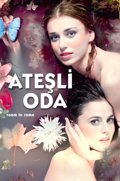 Ateşli Oda izle (2010)