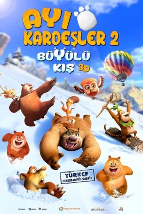 Ayı Kardeşler: Büyülü Kış izle (2015)