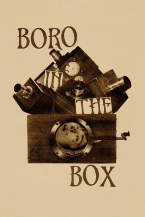 Boro in the Box izle (2014)
