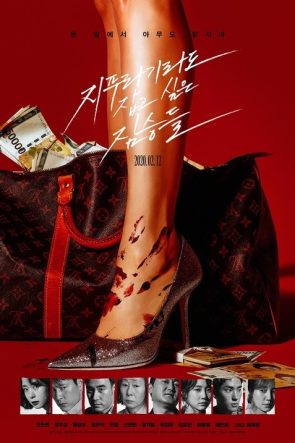 Talih Kuşu izle (2020)