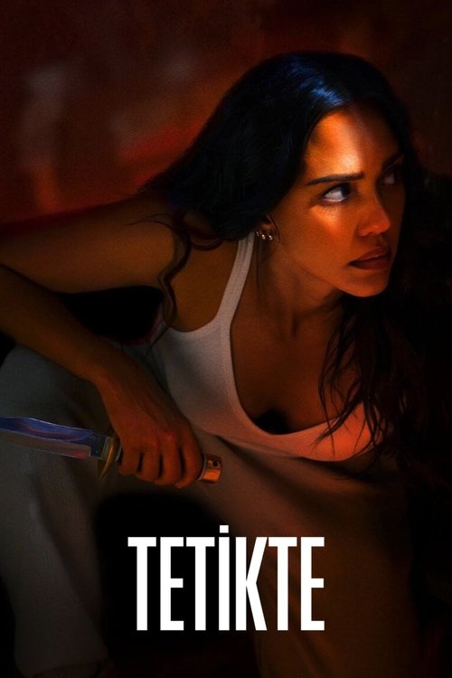 Tetikte izle (2024)
