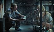 Pet izle (2016)