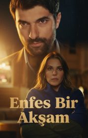 Enfes Bir Akşam izle